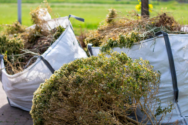 Best Basement Cleanout Services  in Reidville, SC